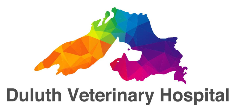 Duluth Veterinary Hospital Logo